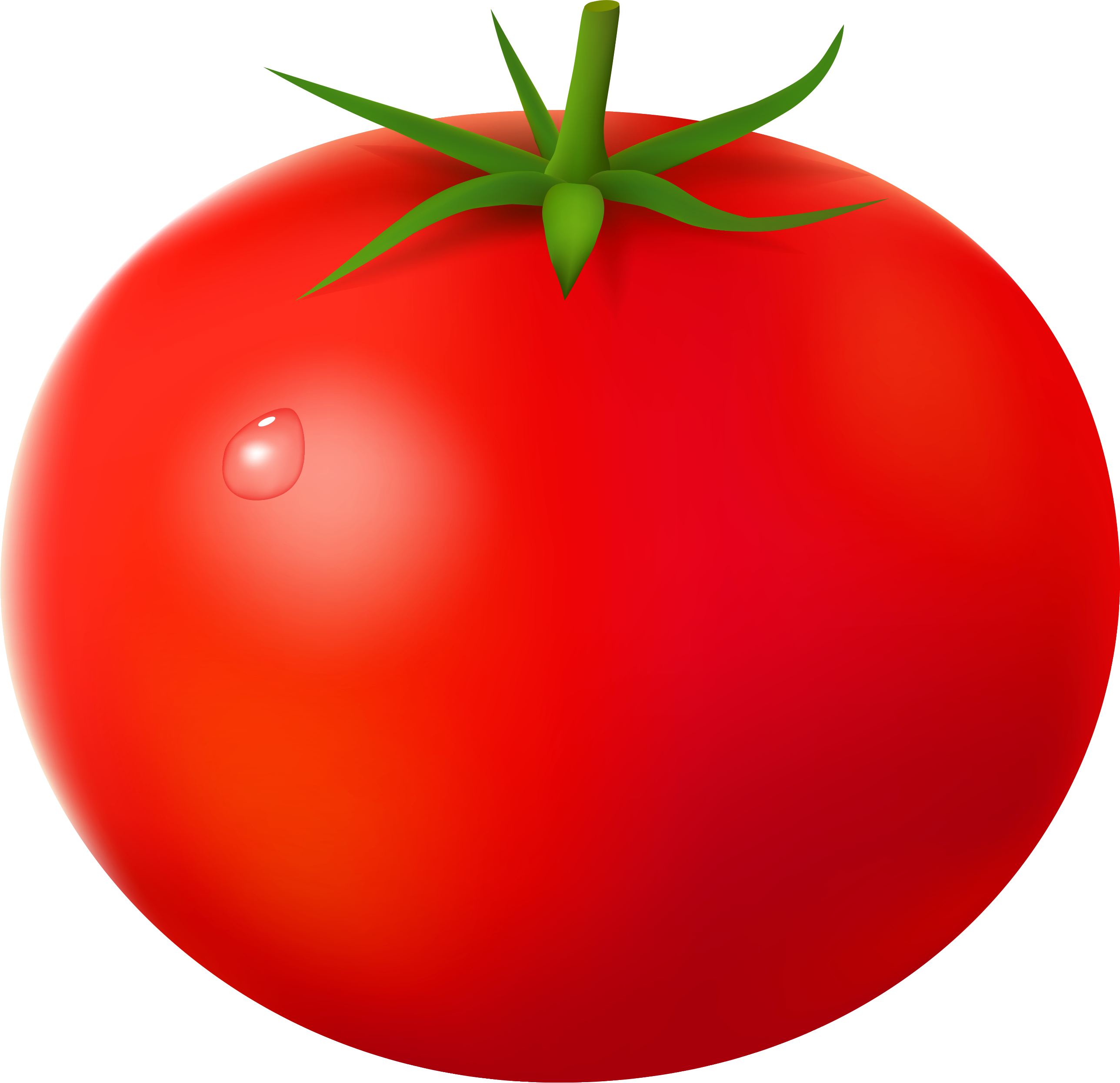 Tomato
